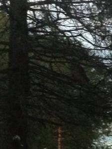 1004808_10101954032699658_68945488_n