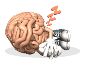 brain-sleeping1