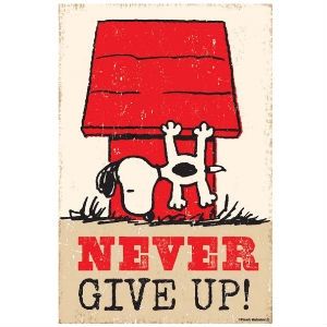 a8194d2209ed59760b63446b071e1cb2